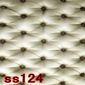 5'x8' SS124